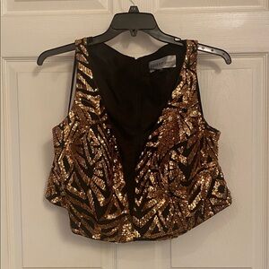 Bronze sequin top & Elegant Black Tulle Skirt